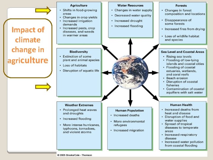 Impact of climate change in agriculture 