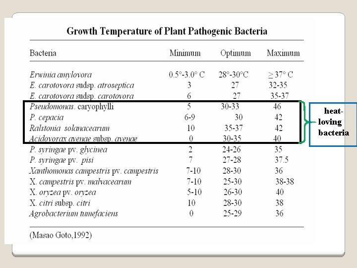 heatloving bacteria 
