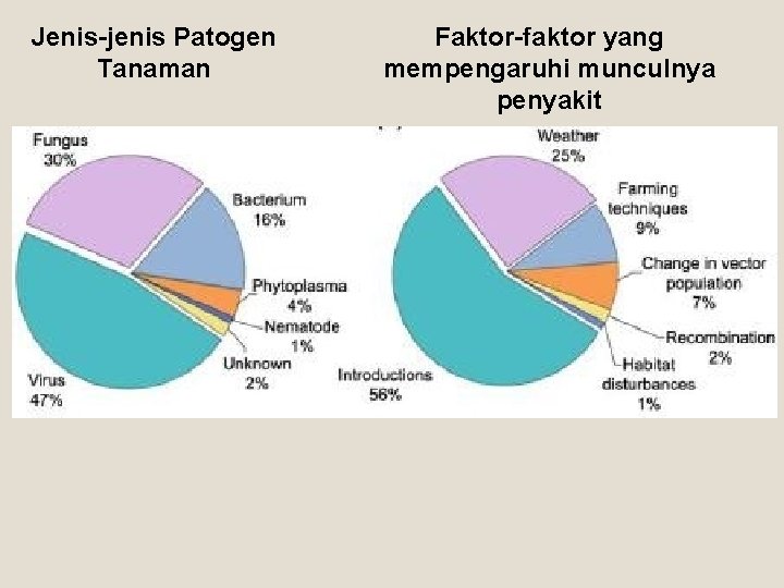 Jenis-jenis Patogen Tanaman Faktor-faktor yang mempengaruhi munculnya penyakit 