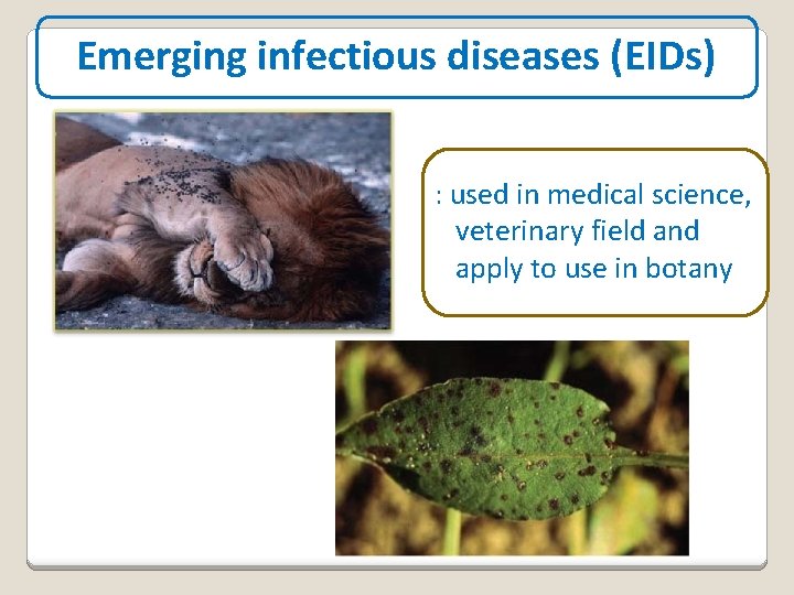 Emerging infectious diseases (EIDs) : used in medical science, veterinary field and apply to