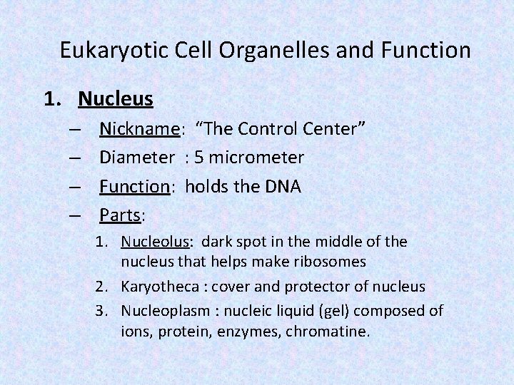 Eukaryotic Cell Organelles and Function 1. Nucleus – – Nickname: “The Control Center” Diameter
