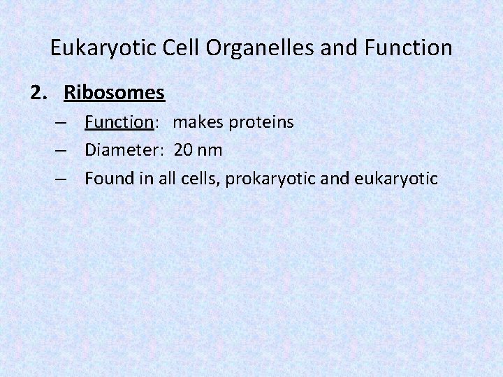 Eukaryotic Cell Organelles and Function 2. Ribosomes – Function: makes proteins – Diameter: 20