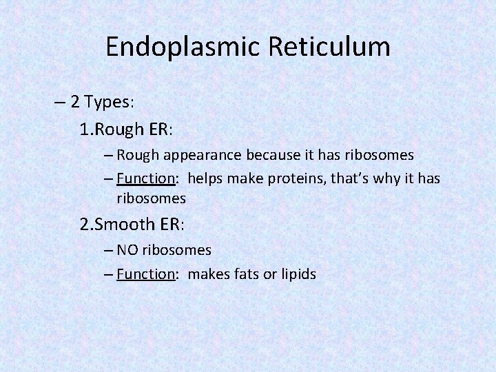 Endoplasmic Reticulum – 2 Types: 1. Rough ER: – Rough appearance because it has