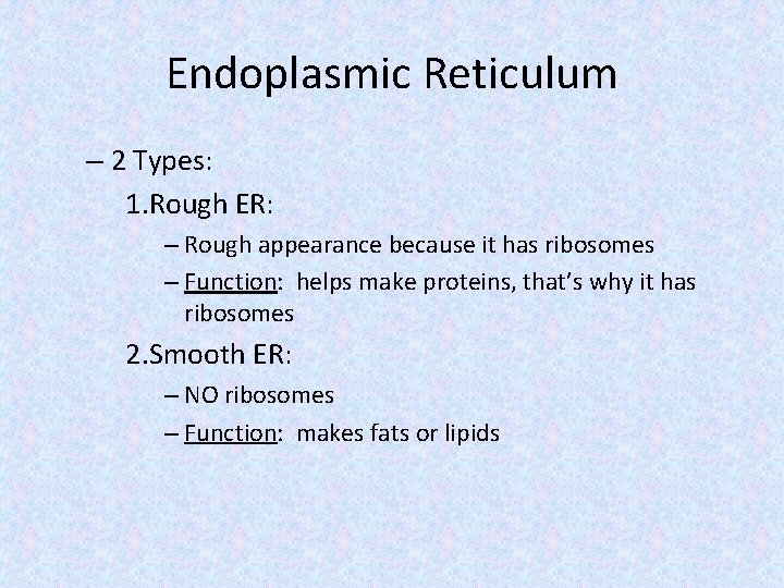 Endoplasmic Reticulum – 2 Types: 1. Rough ER: – Rough appearance because it has Endoplasmic Reticulum – 2 Types: 1. Rough ER: – Rough appearance because it has