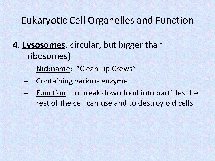 Eukaryotic Cell Organelles and Function 4. Lysosomes: circular, but bigger than ribosomes) – Nickname: