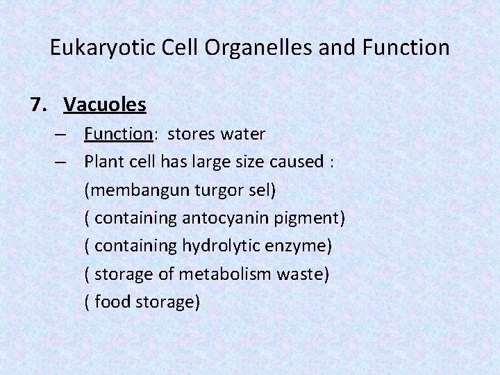 Eukaryotic Cell Organelles and Function 7. Vacuoles – Function: stores water – Plant cell Eukaryotic Cell Organelles and Function 7. Vacuoles – Function: stores water – Plant cell