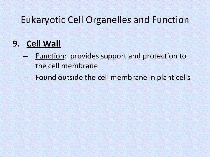 Eukaryotic Cell Organelles and Function 9. Cell Wall – Function: provides support and protection