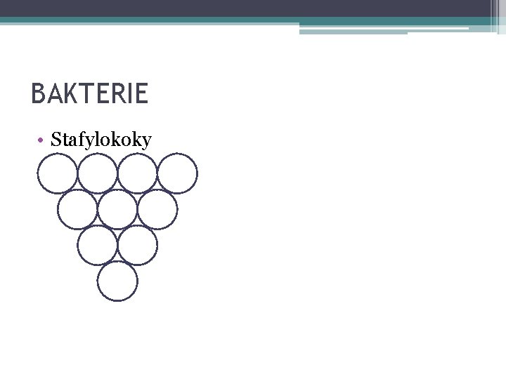 BAKTERIE • Stafylokoky 