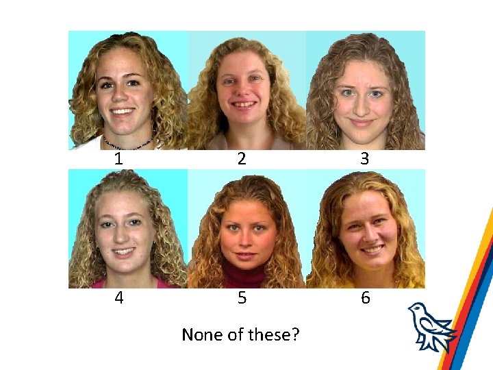 1 2 3 4 5 6 None of these? 
