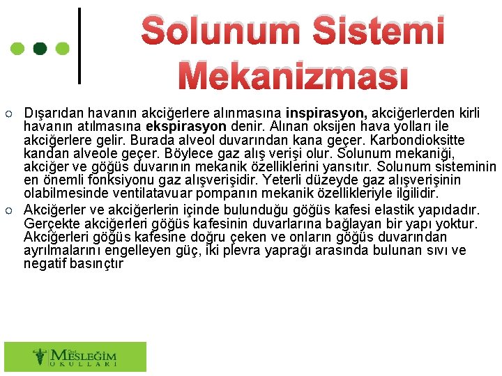 Solunum Sistemi Mekanizması ○ Dışarıdan havanın akciğerlere alınmasına inspirasyon, akciğerlerden kirli havanın atılmasına ekspirasyon