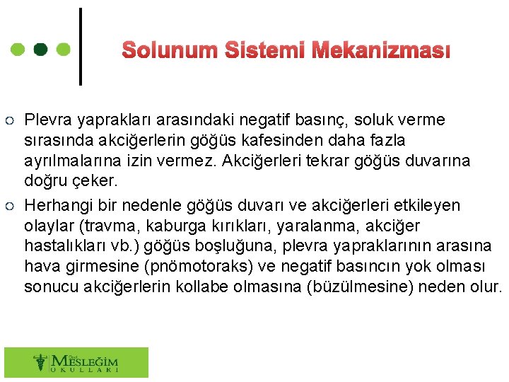 Solunum Sistemi Mekanizması ○ Plevra yaprakları arasındaki negatif basınç, soluk verme sırasında akciğerlerin göğüs