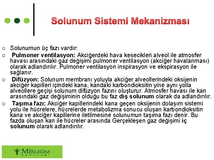 Solunum Sistemi Mekanizması ○ Solunumun üç fazı vardır: ○ Pulmoner ventilasyon: Akciğerdeki hava kesecikleri