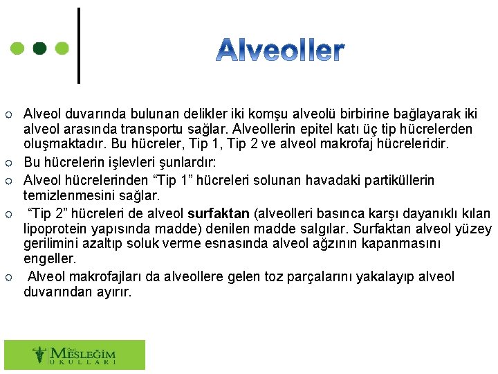 ○ Alveol duvarında bulunan delikler iki komşu alveolü birbirine bağlayarak iki alveol arasında transportu