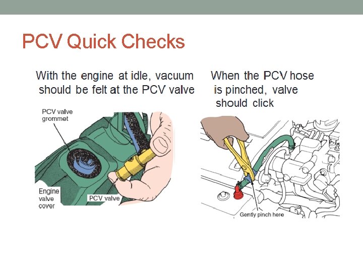PCV Quick Checks 