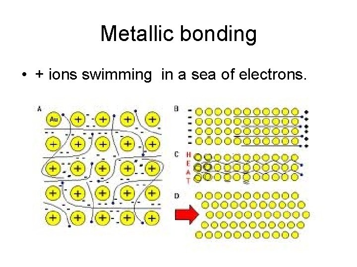 Metallic bonding • + ions swimming in a sea of electrons. 