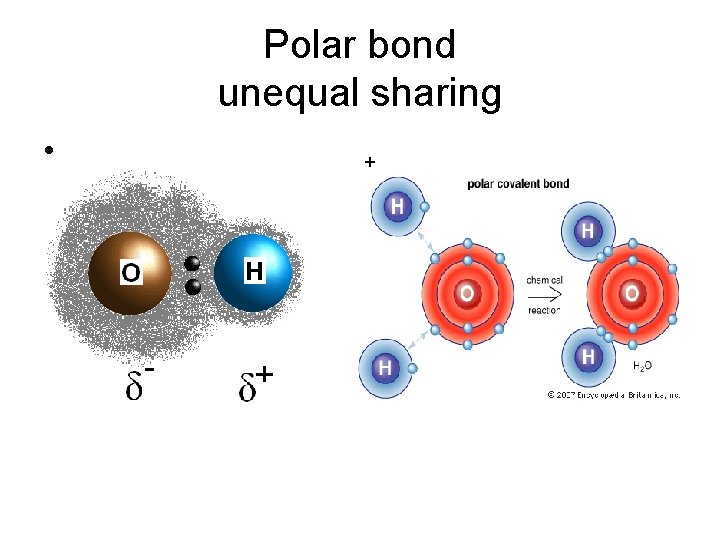 Polar bond unequal sharing • + 