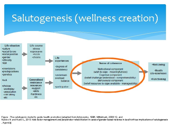 Salutogenesis (wellness creation) Figure : The salutogenic model to guide health promotion [adapted from