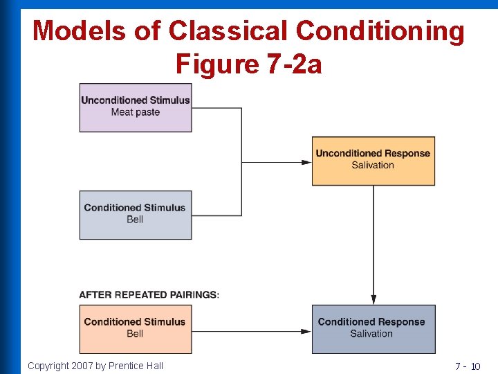 Models of Classical Conditioning Figure 7 -2 a Copyright 2007 by Prentice Hall 7