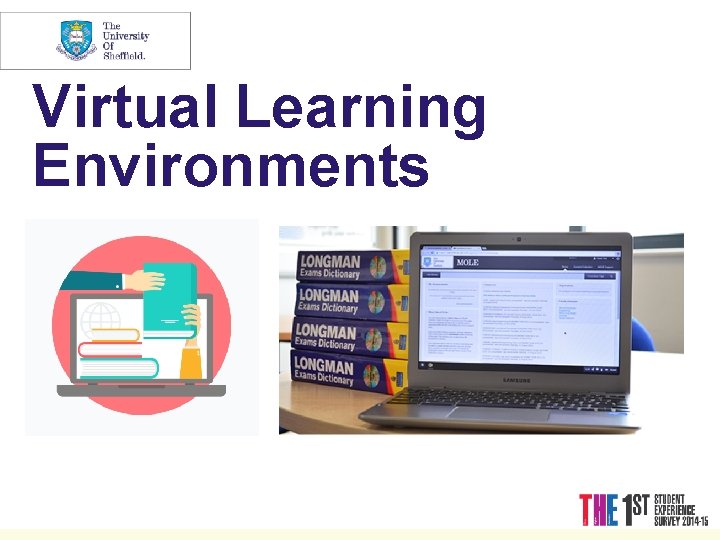 Virtual Learning Environments 