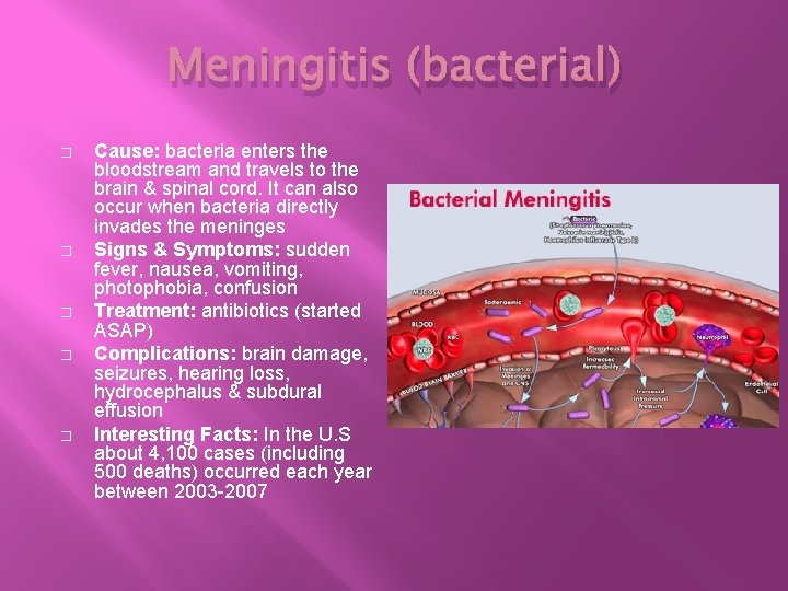 Meningitis (bacterial) � � � Cause: bacteria enters the bloodstream and travels to the