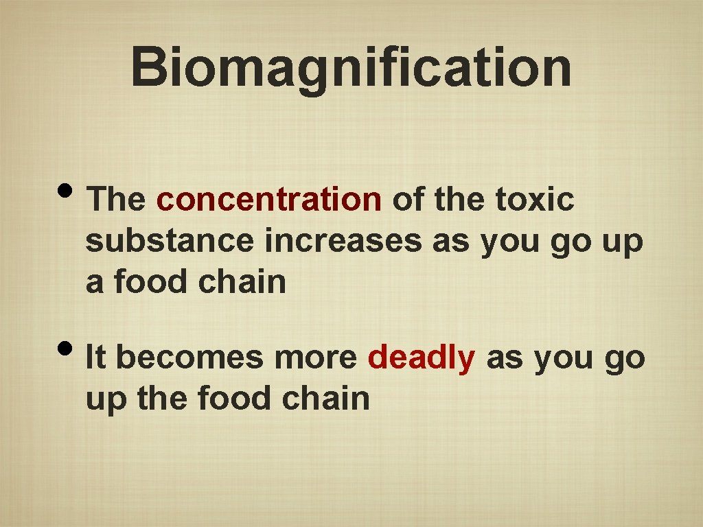 Biomagnification • The concentration of the toxic substance increases as you go up a