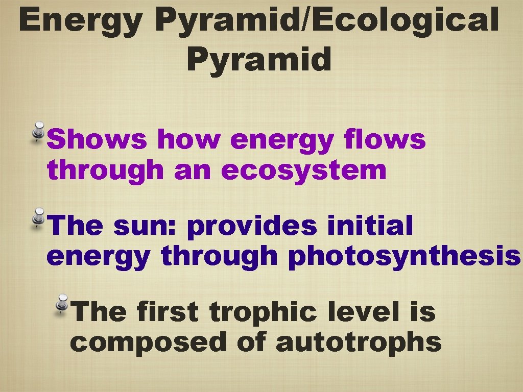 Energy Pyramid/Ecological Pyramid Shows how energy flows through an ecosystem The sun: provides initial