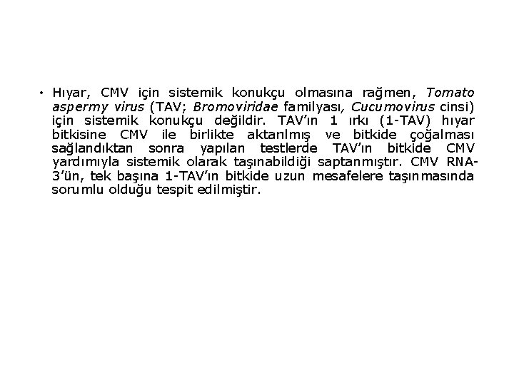  • Hıyar, CMV için sistemik konukçu olmasına rağmen, Tomato aspermy virus (TAV; Bromoviridae