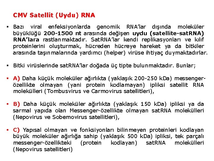 CMV Satellit (Uydu) RNA § Bazı viral enfeksiyonlarda genomik RNA’lar dışında moleküler büyüklüğü 200