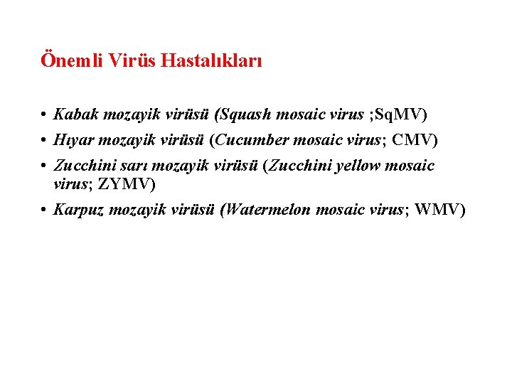 Önemli Virüs Hastalıkları • Kabak mozayik virüsü (Squash mosaic virus ; Sq. MV) •