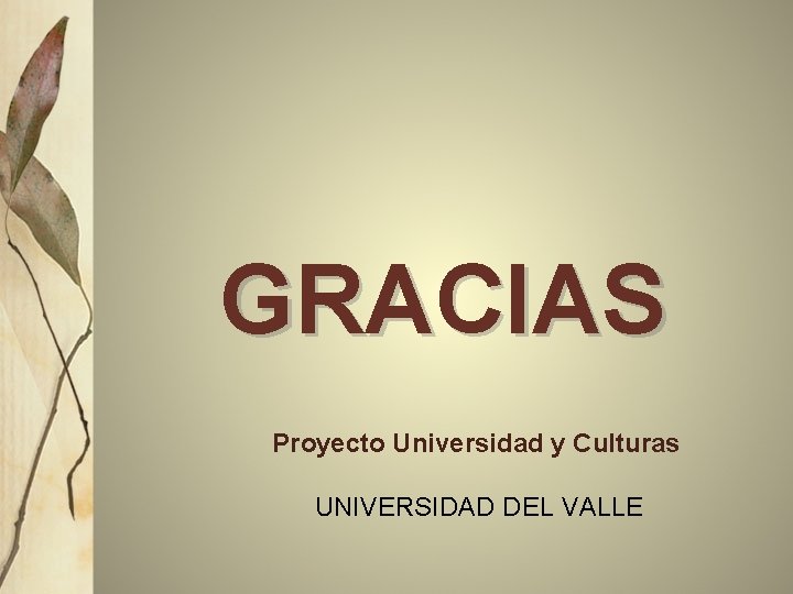 GRACIAS Proyecto Universidad y Culturas UNIVERSIDAD DEL VALLE 18 