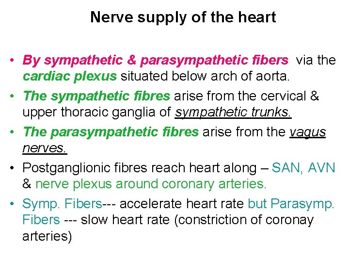 Nerve supply of the heart • By sympathetic & parasympathetic fibers via the cardiac