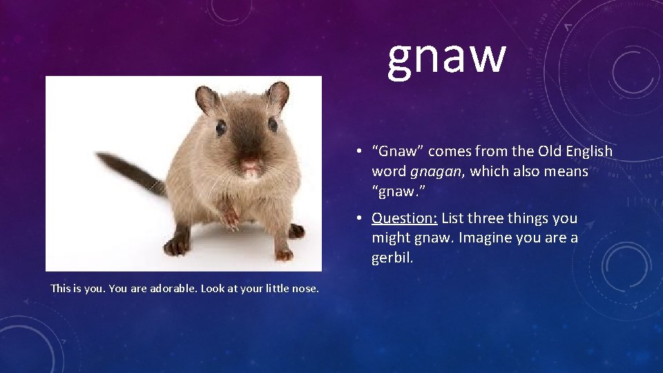 gnaw • “Gnaw” comes from the Old English word gnagan, which also means “gnaw.