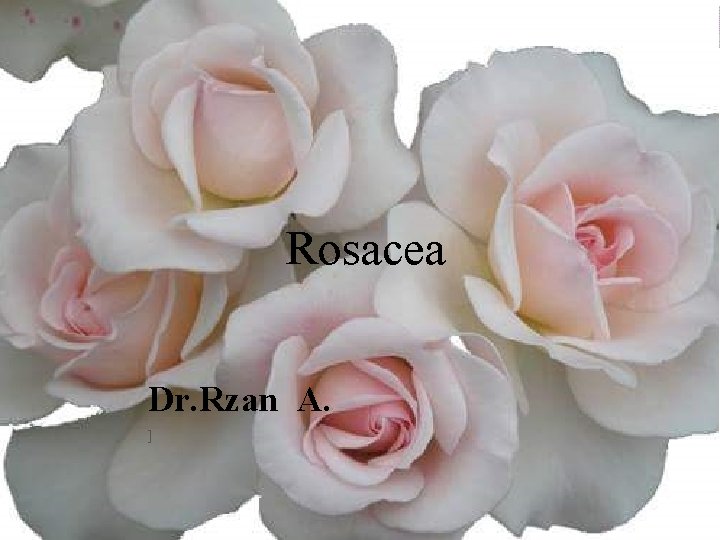 Rosacea Dr. Rzan A. ] 