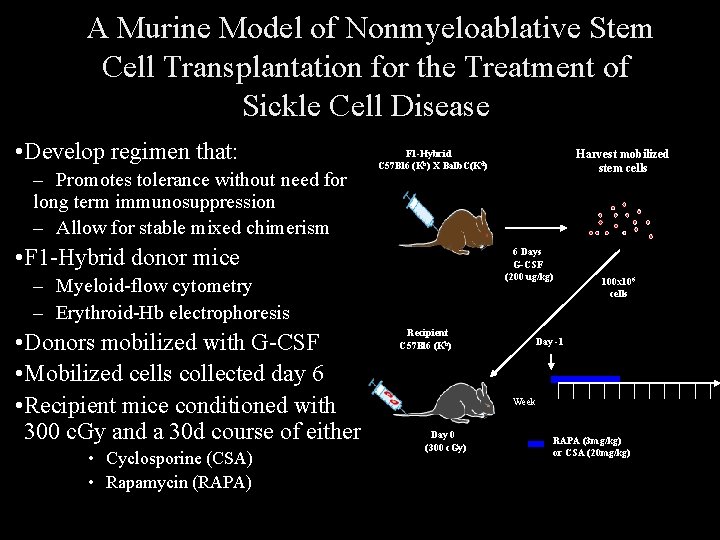 A Murine Model of Nonmyeloablative Stem Cell Transplantation for the Treatment of Sickle Cell