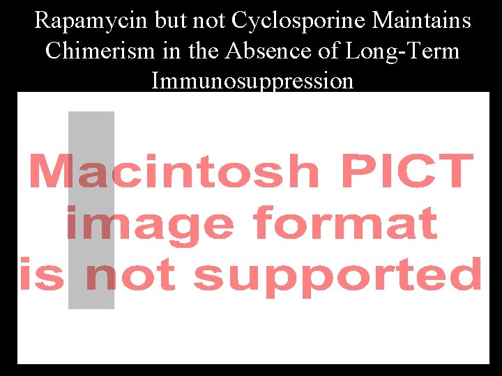 Rapamycin but not Cyclosporine Maintains Chimerism in the Absence of Long-Term Immunosuppression 