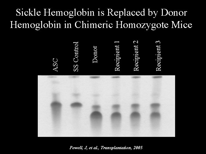 Powell, J, et al. , Transplantation, 2005 Recipient 3 Recipient 2 Recipient 1 Donor