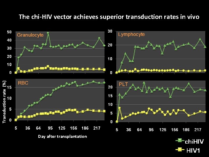 Transduction rate (%) The chi-HIV vector achieves superior transduction rates in vivo Day after