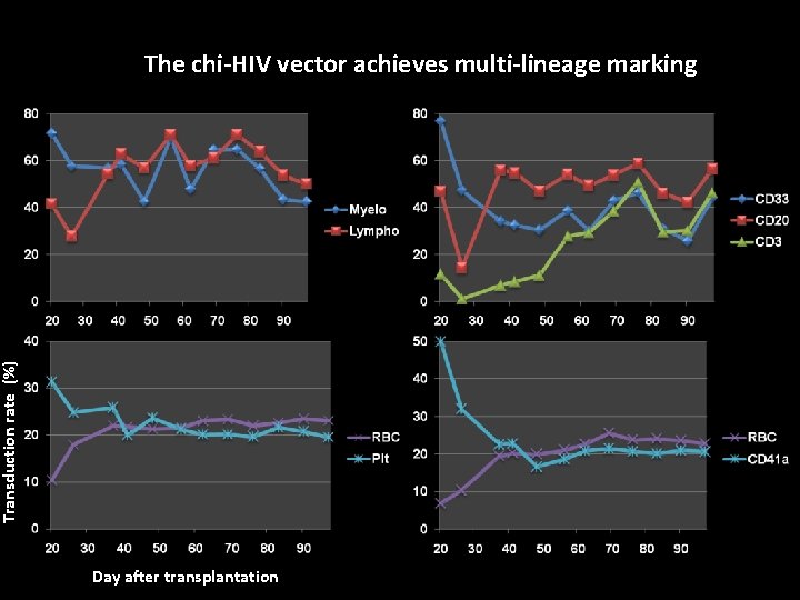 Transduction rate (%) The chi-HIV vector achieves multi-lineage marking Day after transplantation 