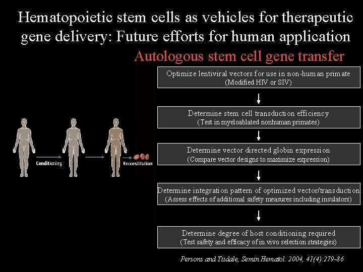 Hematopoietic stem cells as vehicles for therapeutic gene delivery: Future efforts for human application