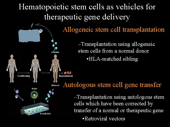 Hematopoietic stem cells as vehicles for therapeutic gene delivery Allogeneic stem cell transplantation –Transplantation