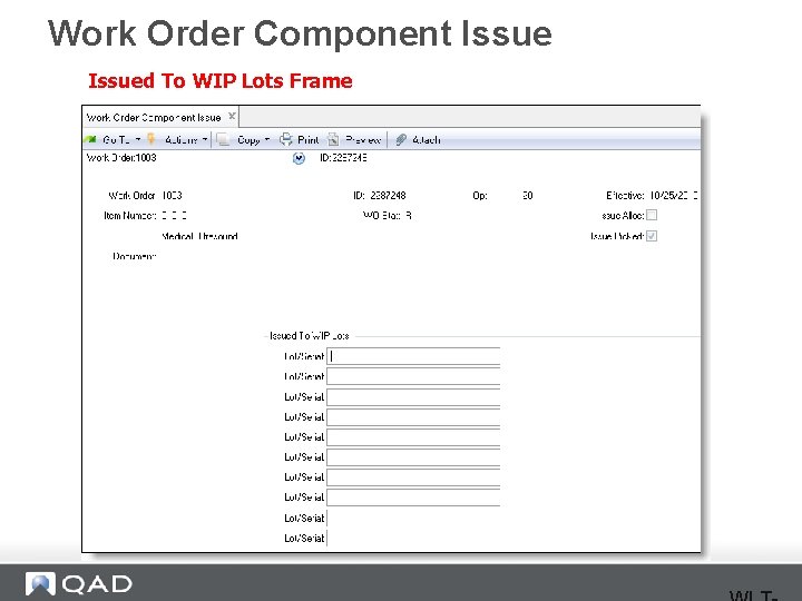 Work Order Component Issued To WIP Lots Frame 