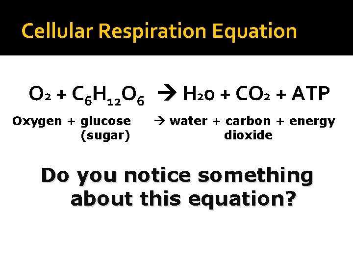 Cellular Respiration Equation O 2 + C 6 H 12 O 6 H 20