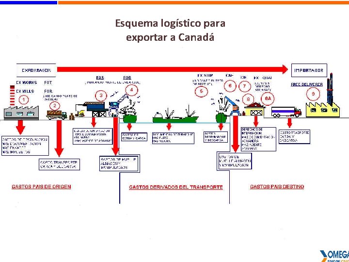 Esquema logístico para exportar a Canadá 6 