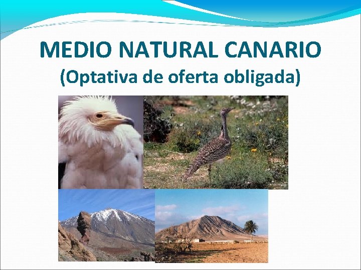 MEDIO NATURAL CANARIO (Optativa de oferta obligada) 