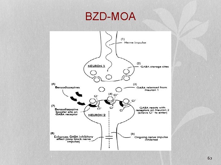 BZD-MOA 62 