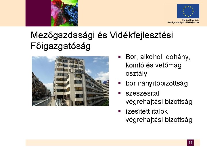 Mezőgazdasági és Vidékfejlesztési Főigazgatóság § Bor, alkohol, dohány, komló és vetőmag osztály § bor