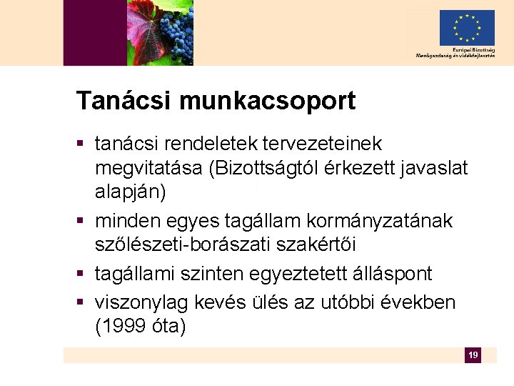 Tanácsi munkacsoport § tanácsi rendeletek tervezeteinek megvitatása (Bizottságtól érkezett javaslat alapján) § minden egyes