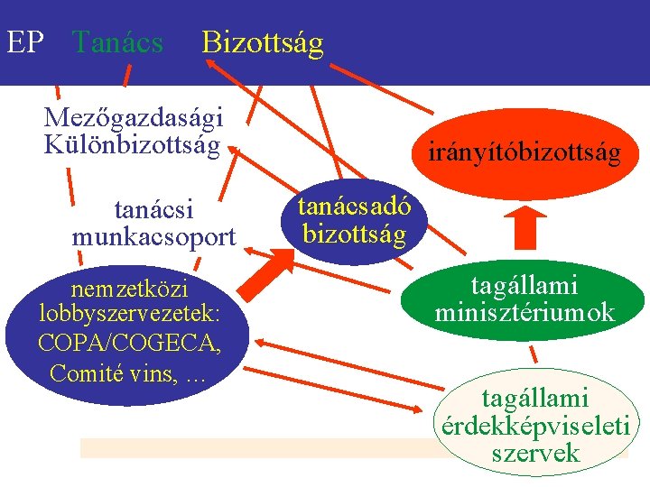 EP Tanács Bizottság Régiók Bizottsága Mezőgazdasági Különbizottság tanácsi munkacsoport nemzetközi lobbyszervezetek: COPA/COGECA, Comité vins,