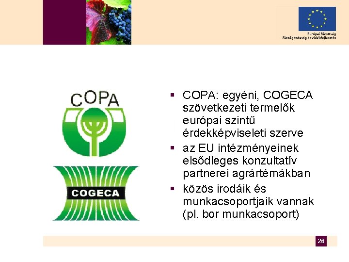 § COPA: egyéni, COGECA szövetkezeti termelők európai szintű érdekképviseleti szerve § az EU intézményeinek