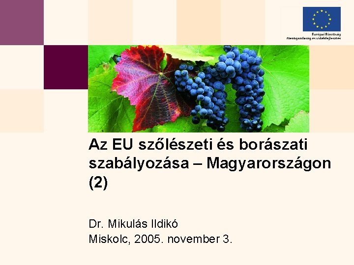 Az EU szőlészeti és borászati szabályozása – Magyarországon (2) Dr. Mikulás Ildikó Miskolc, 2005.